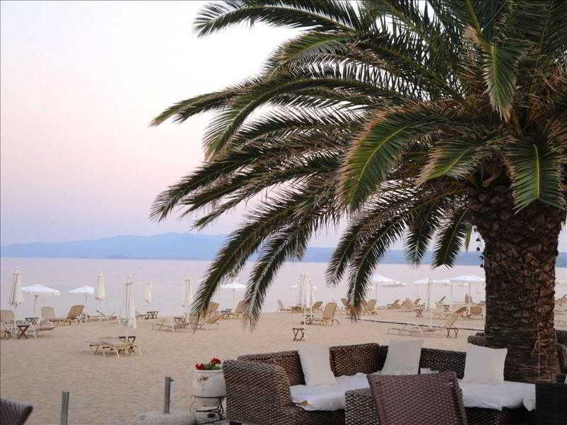 Hotel Assa Maris Chalkidiki Exteriér fotografie